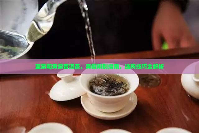 蓝票和黄票普洱茶