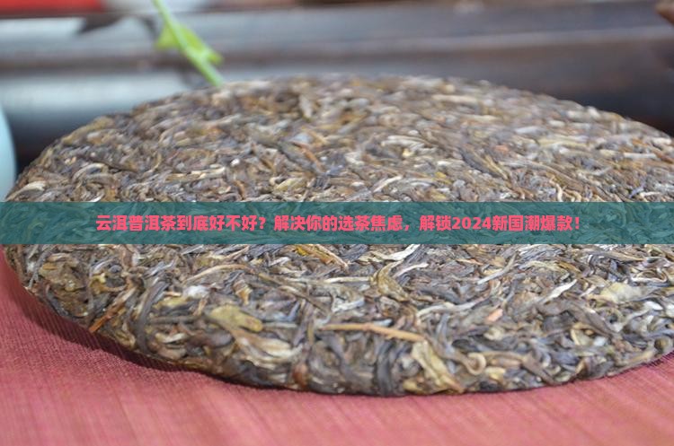 云洱普洱茶的产品介绍