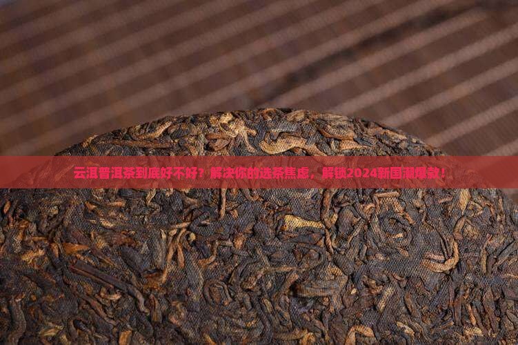 云洱普洱茶的产品介绍