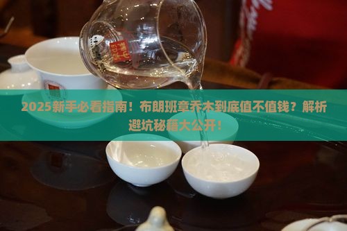 布朗班章乔木是什么意思