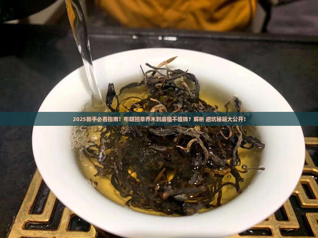 布朗班章乔木是什么意思