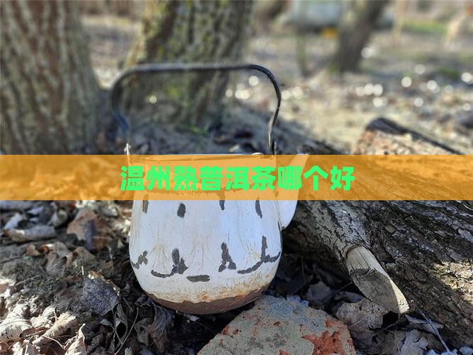 温州熟普洱茶哪个品牌好