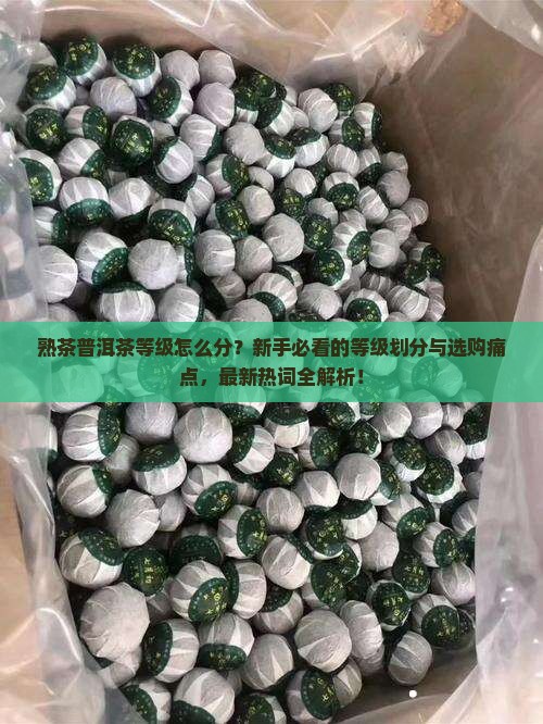 熟茶普洱茶等级划分