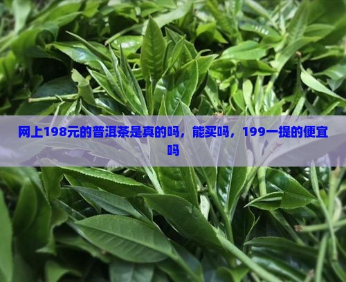 网上198元的普洱茶