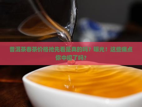 普洱茶春茶价格抢先看是真的吗
