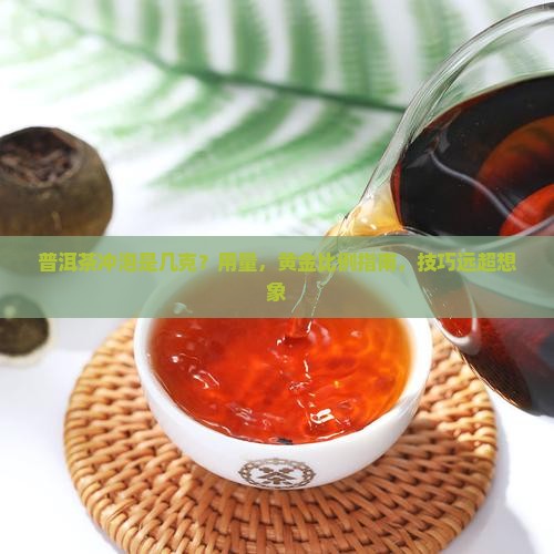 普洱茶冲泡是几克