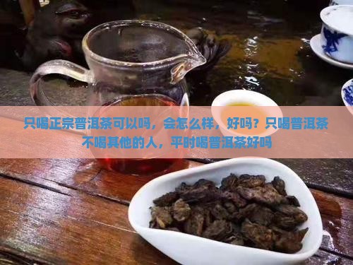 只喝正宗普洱茶