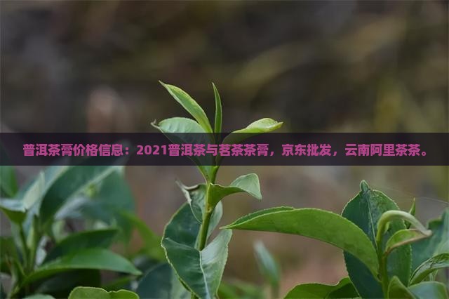 2021普洱茶膏价格