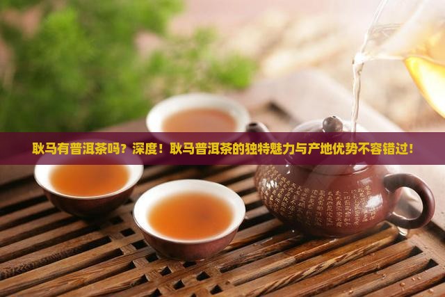 耿马有普洱茶吗