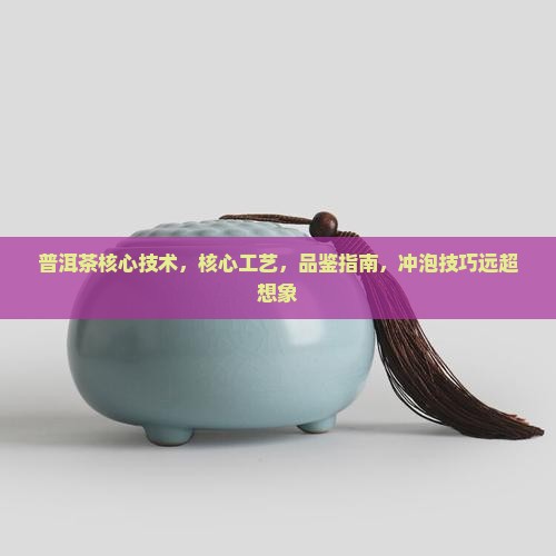 普洱茶核心技术
