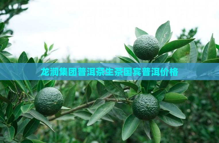 龙润钓鱼台普洱茶生茶