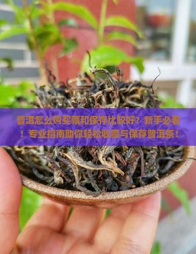 普洱怎么购买藏和保存比较好