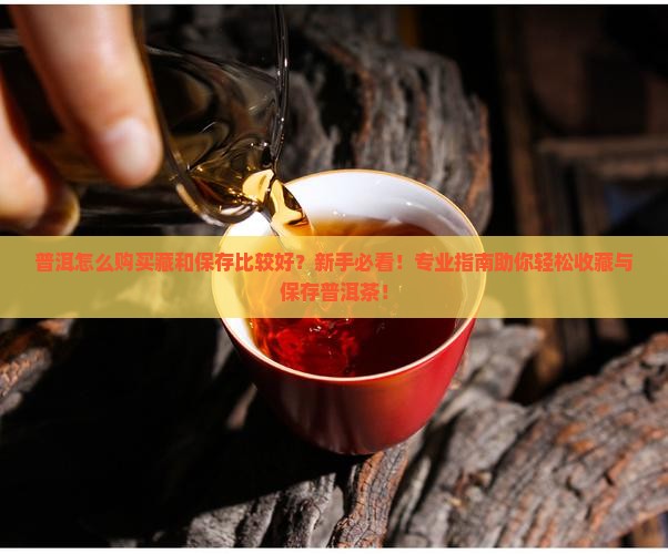 普洱怎么购买藏和保存比较好