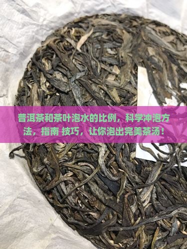 普洱茶和茶叶泡水的比例