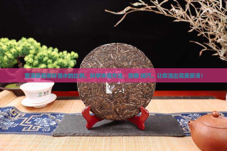 普洱茶和茶叶泡水的比例