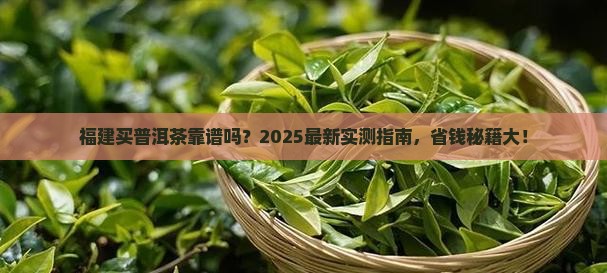 福建有没有卖普洱茶