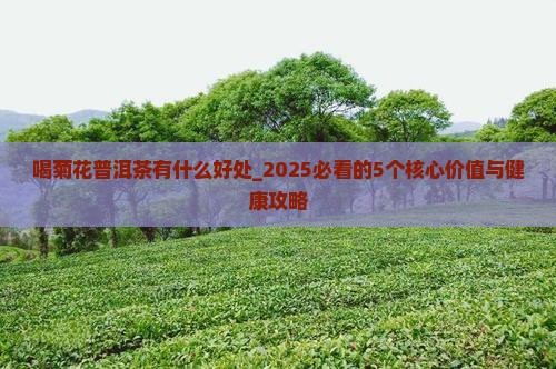 喝菊花普洱茶有什么好处