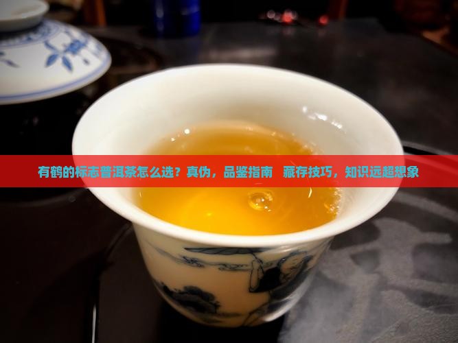 有鹤的标志普洱茶