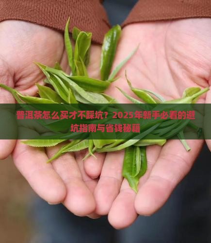 普洱茶的购买藏门道