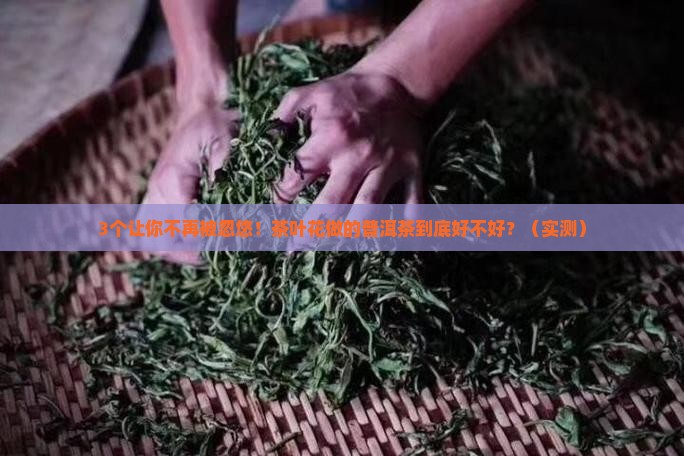 茶叶花做的普洱茶好吗怎么做