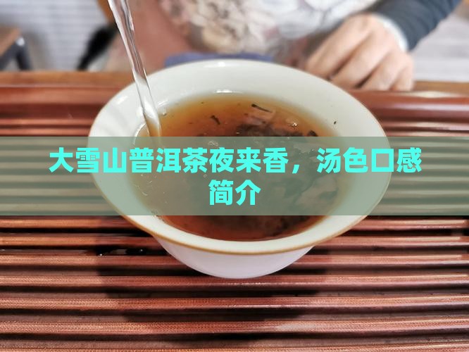 大雪山普洱茶夜来香