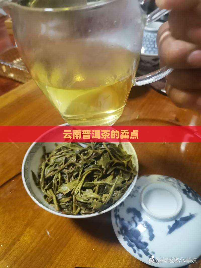 云南普洱茶的卖点