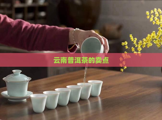 云南普洱茶的卖点