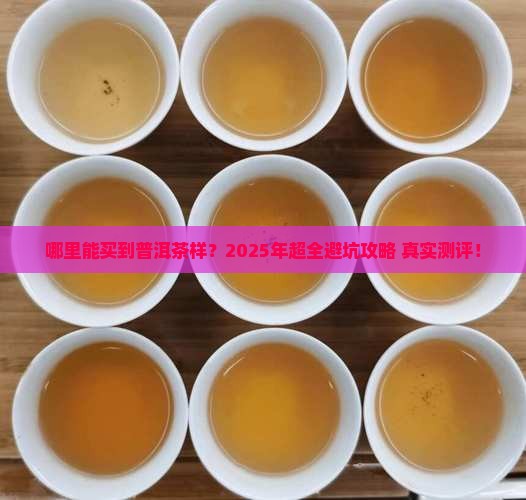哪里能买到普洱茶样