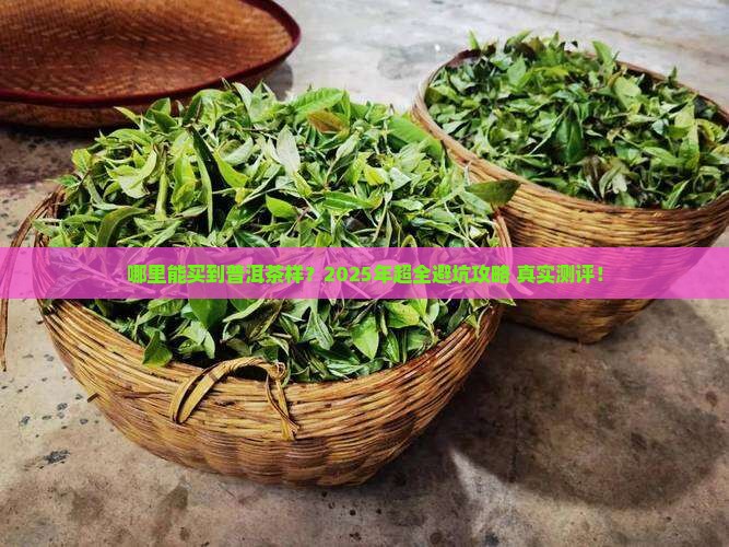 哪里能买到普洱茶样