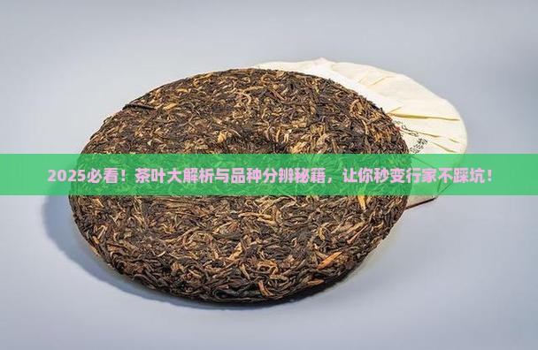 茶叶分哪几类如何分辨茶叶品种