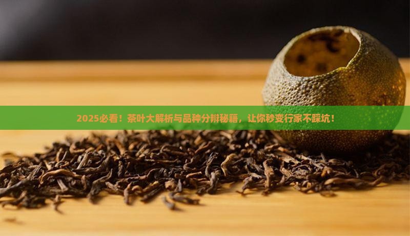 茶叶分哪几类如何分辨茶叶品种