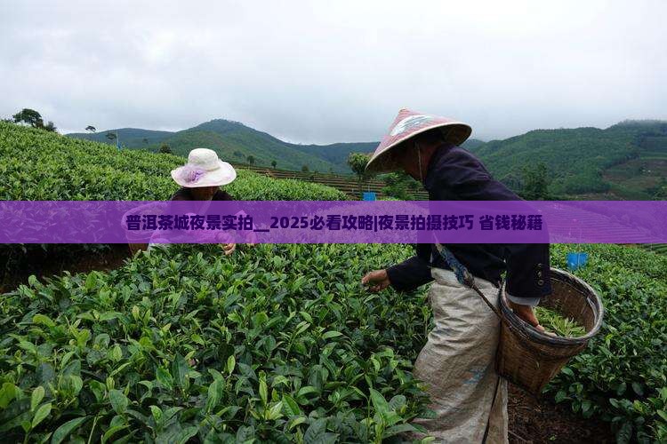 普洱茶城夜景实拍