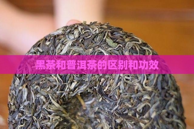 黑茶和普洱茶的区别和功效