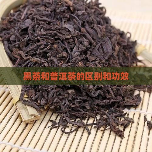 黑茶和普洱茶的区别和功效