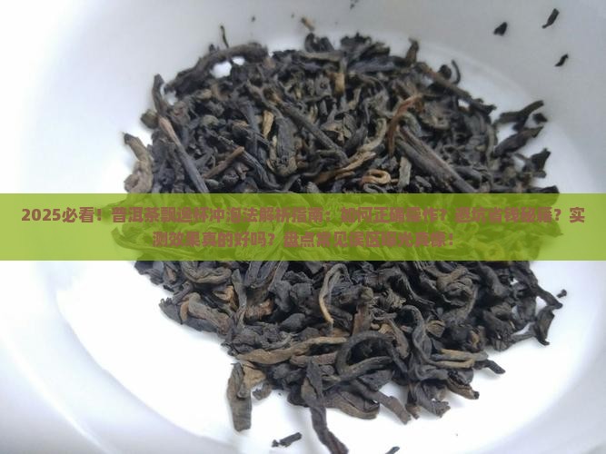 普洱茶飘逸杯冲泡法