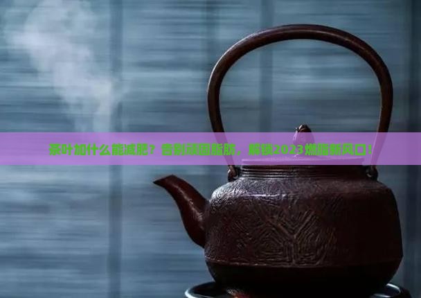 茶叶加什么能减肥