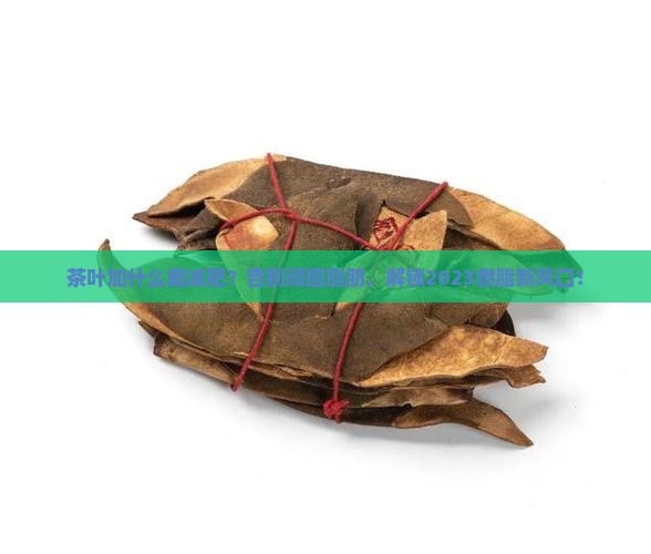 茶叶加什么能减肥