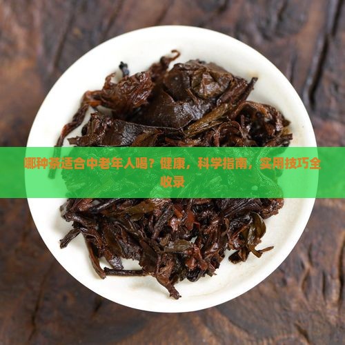哪种茶适合中老年人喝