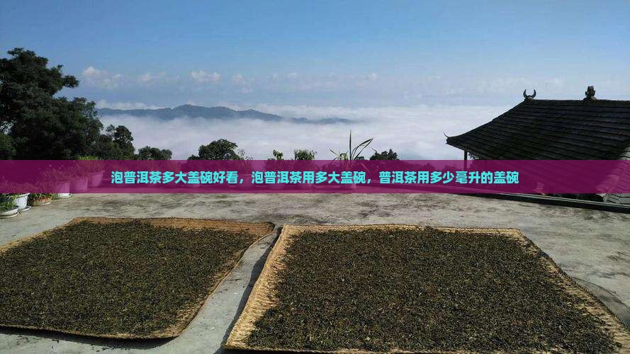 泡普洱茶多大盖碗好看