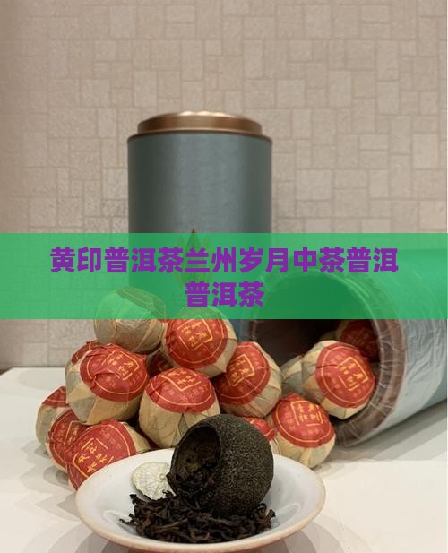 小黄印普洱茶兰州岁月知味普洱