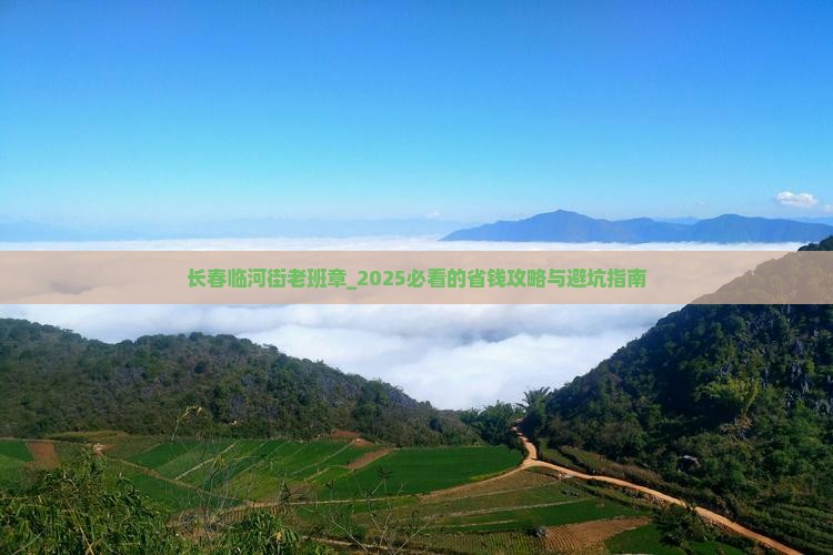 长春临河街老班章