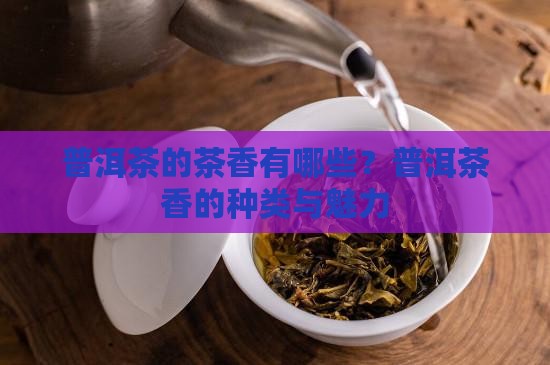 普洱茶的茶香有哪些