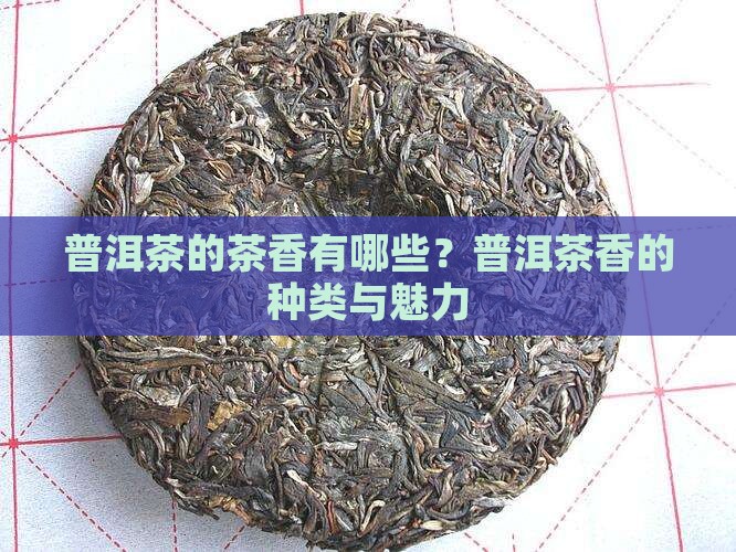 普洱茶的茶香有哪些