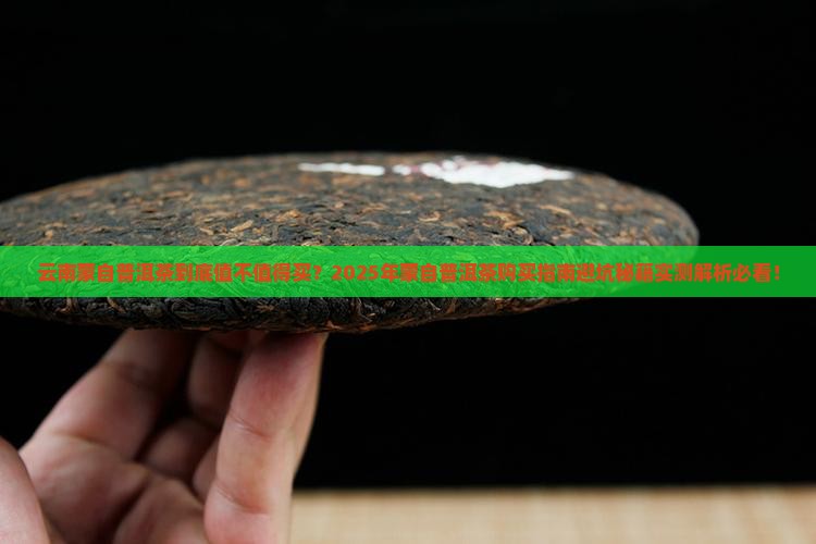 云南蒙自普洱茶