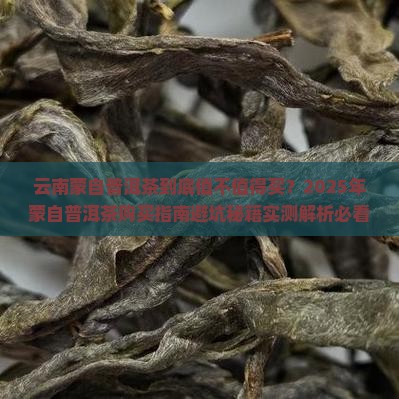 云南蒙自普洱茶