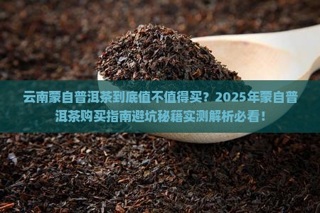 云南蒙自普洱茶