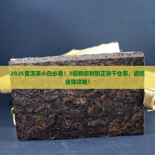 正宗普洱茶干仓