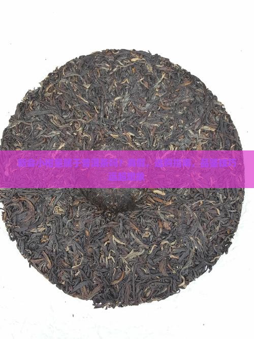 新会小柑星属于普洱茶吗