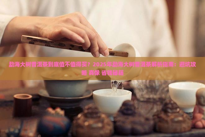 勐海大树普洱茶