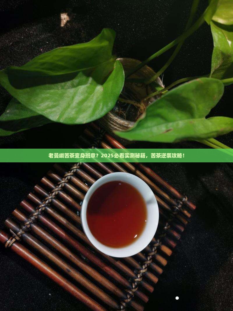 老曼峨苦茶做班章